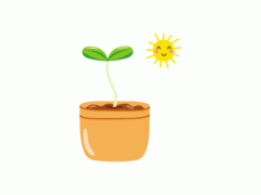 多肉植物開花不好？這是為什么，開的話如何養護