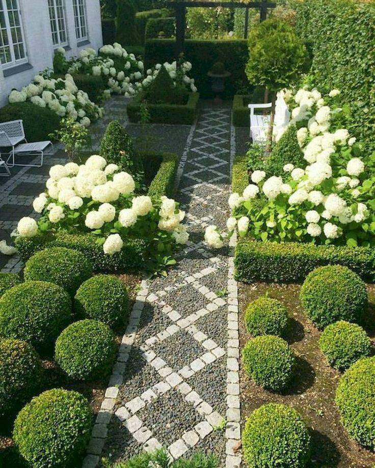 冬季養綠植適合什么花_冬季養綠植適合種什么花_冬季適合養的綠植