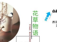 多肉植物別急著“露養”，大神教你做好“4準備”，可以減少空盆